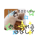 チャックだよ〜 second season（個別スタンプ：26）