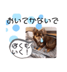 チャックだよ〜 second season（個別スタンプ：31）