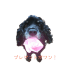高橋家の★つむじ☆（個別スタンプ：3）