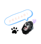 高橋家の★つむじ☆（個別スタンプ：7）