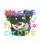 かわいいチワワのタンタンstamp（個別スタンプ：14）