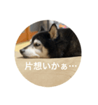 内弁慶ナナ様_04（個別スタンプ：3）