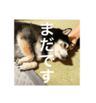 内弁慶ナナ様_04（個別スタンプ：5）