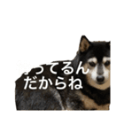 内弁慶ナナ様_04（個別スタンプ：7）