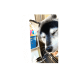 内弁慶ナナ様_04（個別スタンプ：10）