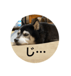 内弁慶ナナ様_04（個別スタンプ：12）