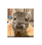 2021年獅子丸とお正月（個別スタンプ：1）