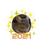 2021年獅子丸とお正月（個別スタンプ：3）