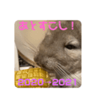 2021年獅子丸とお正月（個別スタンプ：7）