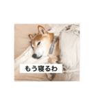 an♡komachi 2（個別スタンプ：9）
