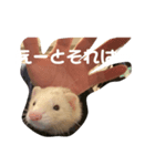 エルマー(エルちゃん)の小言（個別スタンプ：3）