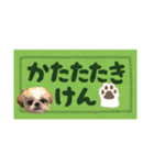 日々まるちゃん17（個別スタンプ：1）