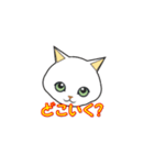 猫のいろいろ。（個別スタンプ：2）