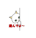 猫のいろいろ。（個別スタンプ：4）