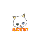 猫のいろいろ。（個別スタンプ：6）