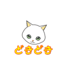 猫のいろいろ。（個別スタンプ：14）