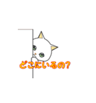 猫のいろいろ。（個別スタンプ：15）