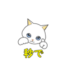 猫のいろいろ。（個別スタンプ：22）