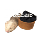 エルマー(エルちゃん)の代弁1（個別スタンプ：1）