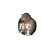 エルマー(エルちゃん)の代弁1（個別スタンプ：2）
