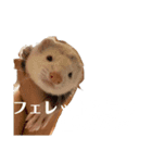 エルマー(エルちゃん)の代弁1（個別スタンプ：7）