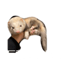 エルマー(エルちゃん)の代弁1（個別スタンプ：11）