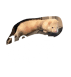 エルマー(エルちゃん)の代弁1（個別スタンプ：12）