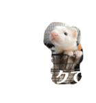 エルマー(エルちゃん)の代弁1（個別スタンプ：14）