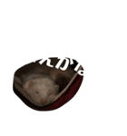 エルマー(エルちゃん)の代弁1（個別スタンプ：16）