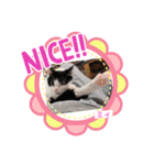 しおちゃんちのミィちゃん（個別スタンプ：2）