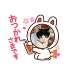 しおちゃんちのミィちゃん（個別スタンプ：6）