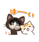 しおちゃんちのミィちゃん（個別スタンプ：8）