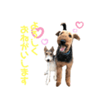 うーちゃん＆かいちゃん（個別スタンプ：1）