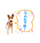 うーちゃん＆かいちゃん（個別スタンプ：8）