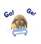 うちの子シリーズ『うさぎのもずくちゃん』（個別スタンプ：3）
