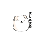 ましゅまろ犬（個別スタンプ：24）