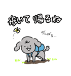 2匹のトイプー帰宅の連絡（個別スタンプ：3）