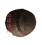 パンダとまっちゃん（個別スタンプ：5）
