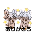 コロンとちゃんまの挨拶イラスト（個別スタンプ：2）