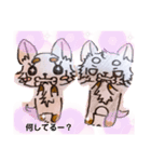 コロンとちゃんまの挨拶イラスト（個別スタンプ：14）
