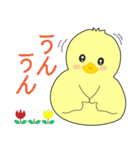 ひよっこです No.3（個別スタンプ：21）