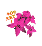 お花と一緒にメッセージ（個別スタンプ：2）