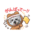 珠那丸(しゅなまる)（個別スタンプ：3）