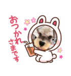 珠那丸(しゅなまる)（個別スタンプ：5）