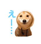 豆柴せつ（個別スタンプ：29）