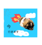 とと時々もふきち（個別スタンプ：2）