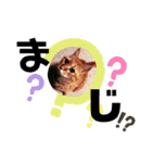 みゅうです。（個別スタンプ：1）