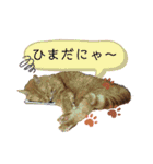 みゅうです。（個別スタンプ：4）