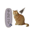 みゅうです。（個別スタンプ：5）