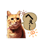 みゅうです。（個別スタンプ：10）